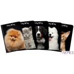 Brulion A5 96 kartek, KITTY & DOG kratka z marginesem TOP 2000 400136020