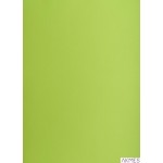 Karton kolorowy Creatinio B2 225g 25ark nr.66 j.zielony 400150337 TOP-2000