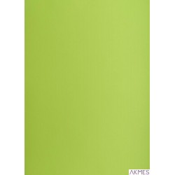 Karton kolorowy Creatinio B2 225g 25ark nr.66 j.zielony 400150337 TOP-2000