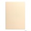 Karton wiz.A4 tłocz.kremo. W19 (20) 200g KRESKA