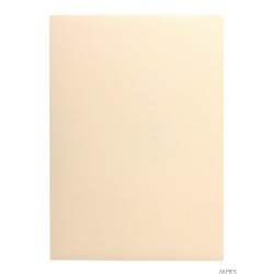 Karton wiz.A4 tłocz.kremo. W19 (20) 200g KRESKA