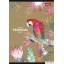 Zeszyt A5 60k krata lam.TROPICAL folia soft touch