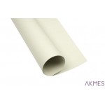 Karton kolorowy Creatinio A1 160g 25ark nr.93 jasnoszary 400149522 TOP-2000