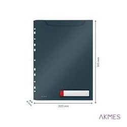 Kołozeszyt Color 2.0 A4 80k 70g kratka z marginesem mix 400146095 TOP-2000