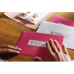 Etykieta DYMO adresowa - 89 x 36 mm, biały - VALUE PACK 24 szt. S0722390