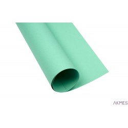 Karton kolorowy Creatinio A3 160g 25ark nr.64 seledynowy 400150238 TOP-2000