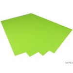 Karton kolorowy Creatinio A1 160g 25ark nr.68W jasnozielony 400149559 TOP-2000