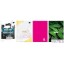 Brulion A5 288k.kr.ITERDRUK
