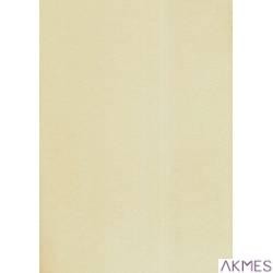 Karton wiz.A4 skorupa ecru.W37 (10) 240g KRESKA