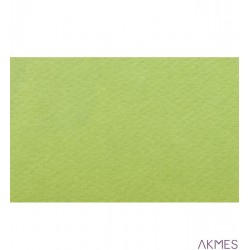 papier A4 18 Pistacchio 220g, 1 50 arkuszy FIORELLO 150-1162