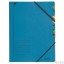 Teczka segregująca Leitz, 12 przegródek, niebieski 39120335