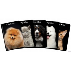 Zeszyt A5 96k, kratka z marginesem, TOP 2000, KITTY & DOG 400135998