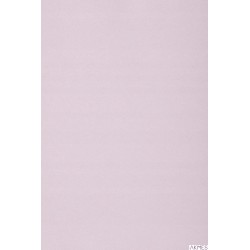 Karton kolorowy Creatinio A1 160g 25ark nr.85 liliowy 400149562 TOP-2000