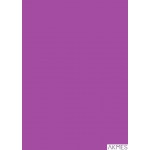 Karton kolorowy Creatinio A2 160g 25ark nr.86P purpurowy 400150199 TOP-2000