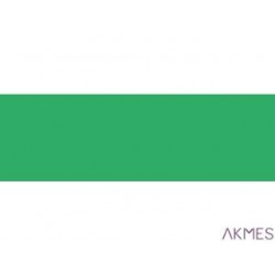 Karton kolorowy 270g B1 25 ark zielony 3527 7010-5