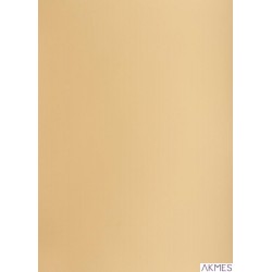 Karton kolorowy Creatinio B2 225g 25ark nr.16 jasnobrązowy 400150327 TOP-2000