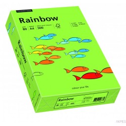 Papier xero kolorowy RAINBOW zielony R76 88042651