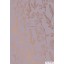 Brulion A5 kratka 80k kremowy papier, "Gold" ASTRA, 101020030
