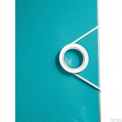 Segregator A4/50mm ACTIVE WOW turkusowy 11070051 LEITZ 180