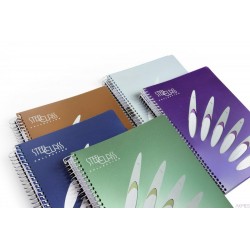 Kołonotatnik Steel Class A6 150 linie 98239 Mintra