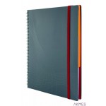 Kołonotatnik A5 Notizio linia 90k szary ZF7014 op.tworzywo z gumką