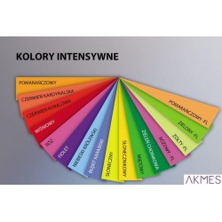 Pap.xero A3/80g miętowy 1885 500ark