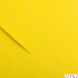 Karton COLORLINE 150g.50*65 żóŁty 04 CA41003 200041003 CANSON