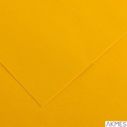 Karton COLORLINE 150g 50*65 złoc.żółty nr05 151 741-453 /CA41004