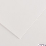 Karton COLORLINE 150g.50x65 biały (25ark) 01 CA41000 200041000 CANSON