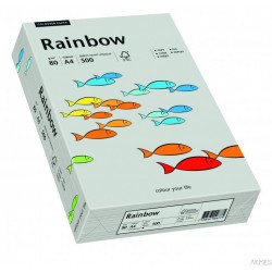 Papier xero kolorowy RAINBOW szary R96 88042805