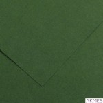 Karton COLORLINE 150g 50*65c.zielony 31 CA41030 200041030 CANSON