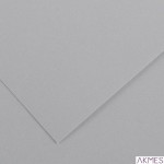 Karton COLORLINE 150g50*65 popielaty 35 200041034 CANSON (25)