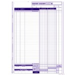 410-1 Raport Kasowy A4 80 kartek MICHALCZYK I PROKOP