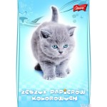 Zeszyt pap.kol.A4 nabłyszczany 10kartek