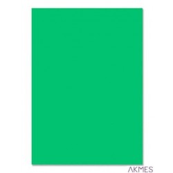 Brystol 220g, B1, zielony (25szt) 3522 7010-5 Happy Color