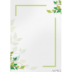 Dyplom A4 GREEN 170g A4 25ark. 218917 GALERIA PAPIERU