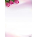 Arkusze barwne A4 FANFAN (50) 233010 ARGO