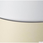 Karton wiz.A4 FLORYDA kremow. 220g (20) ARGO 200302