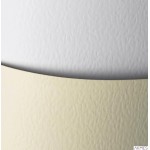 Karton wiz.A4 KAMIEŃ biały 230g (20)ARGO 201301