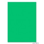 Brystol B2 50*70cm zielony HA35225070-5 220g