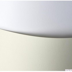 Karton ozd.A4 LAID biały 120g 206001(50) ARGO