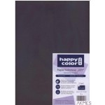 Karton kolorowy 170g, A4, 25ark grafitowy HA 3517 2130-88