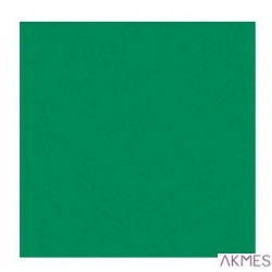 Brystol A2 170g (25) zielony HA 3517 4260-5