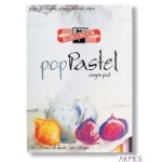 Blok do past.POP PASTEL300*420 MIX 20ark 220g KOH.BLO-PA300MC