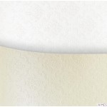 Karton wiz.A4 ORNAMENT biały 230g (20) ARGO 205103
