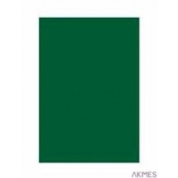 Brystol LUX NR 111 cie. zielony INTERDRUK