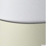 Karton wiz.A4 SKÓRA biały 230g (20)ARGO 202201