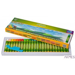 Kredki CRICCO pastele olejowe 24kol CR481K24