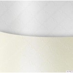 Karton wiz.A4 CHIC diamentowa biel 220g (20)ARGO 204501