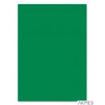 Karton kolorowy 170g, A4, 25ark ciemnozielony HA 3517 2130-52